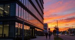 effective email sunset strategies