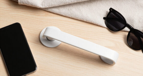 The Door: Why the Interface Is Worth More Than the Model