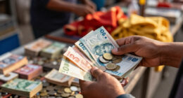 2026-08-22 - Banknotes And Coins - Access To Cash