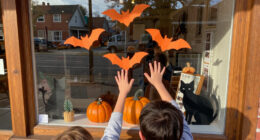 15 Best Halloween Window Display Decorations in 2027
